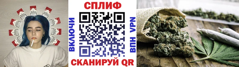 мориарти Telegram  Прокопьевск  Бошки Шишки Amnesia 